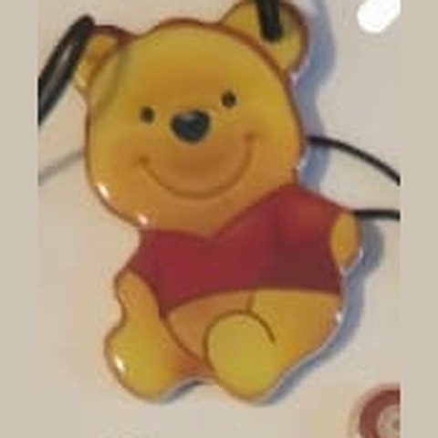 Winnie de Pluș